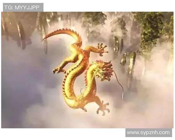 可兰白克的传奇人生与不屈精神探索之旅